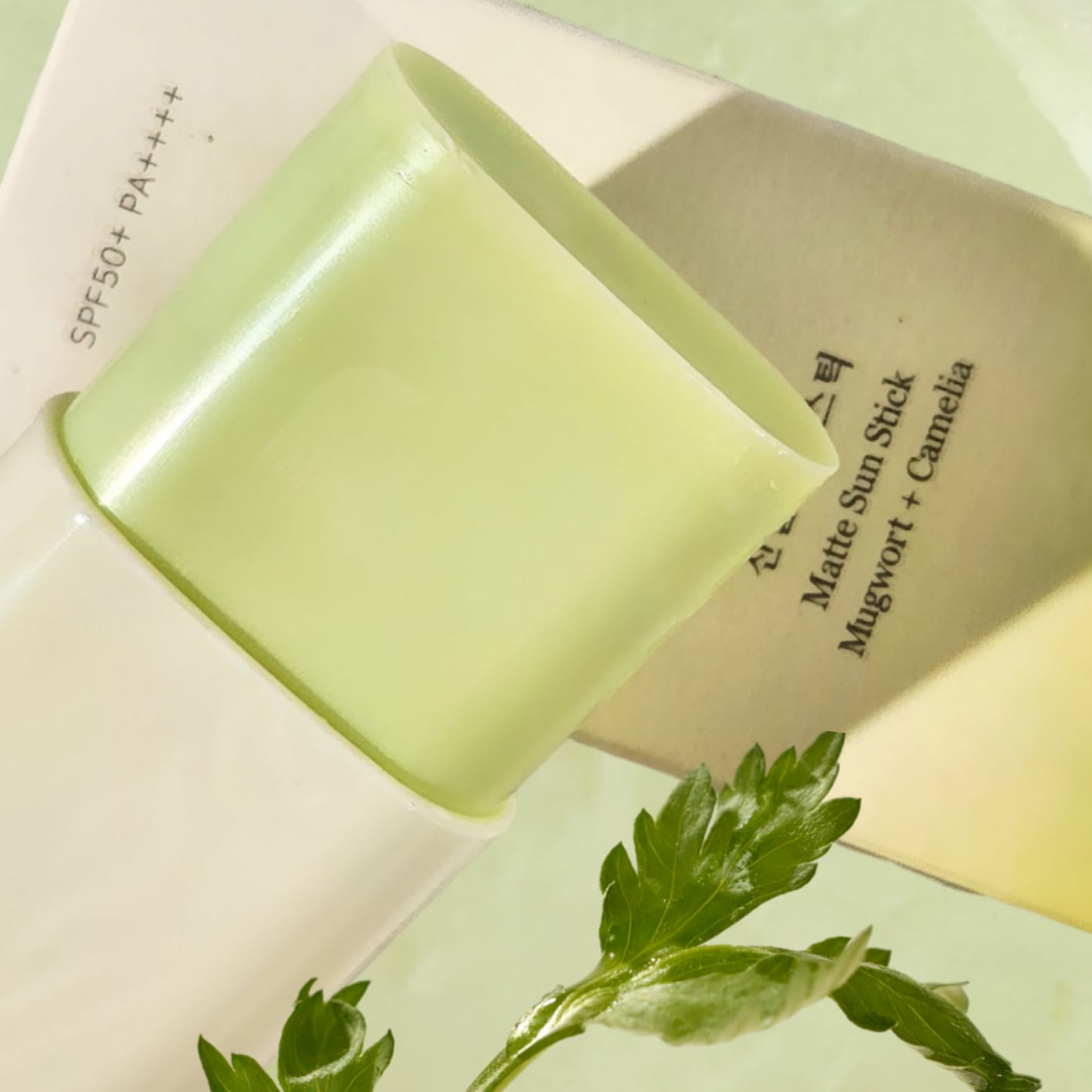Beauty of Joseon Matte Sun Stick Mugwort Camelia SPF 50+ Pa++++