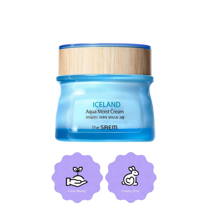 The Saem Iceland Aqua Moist Cream 60ml